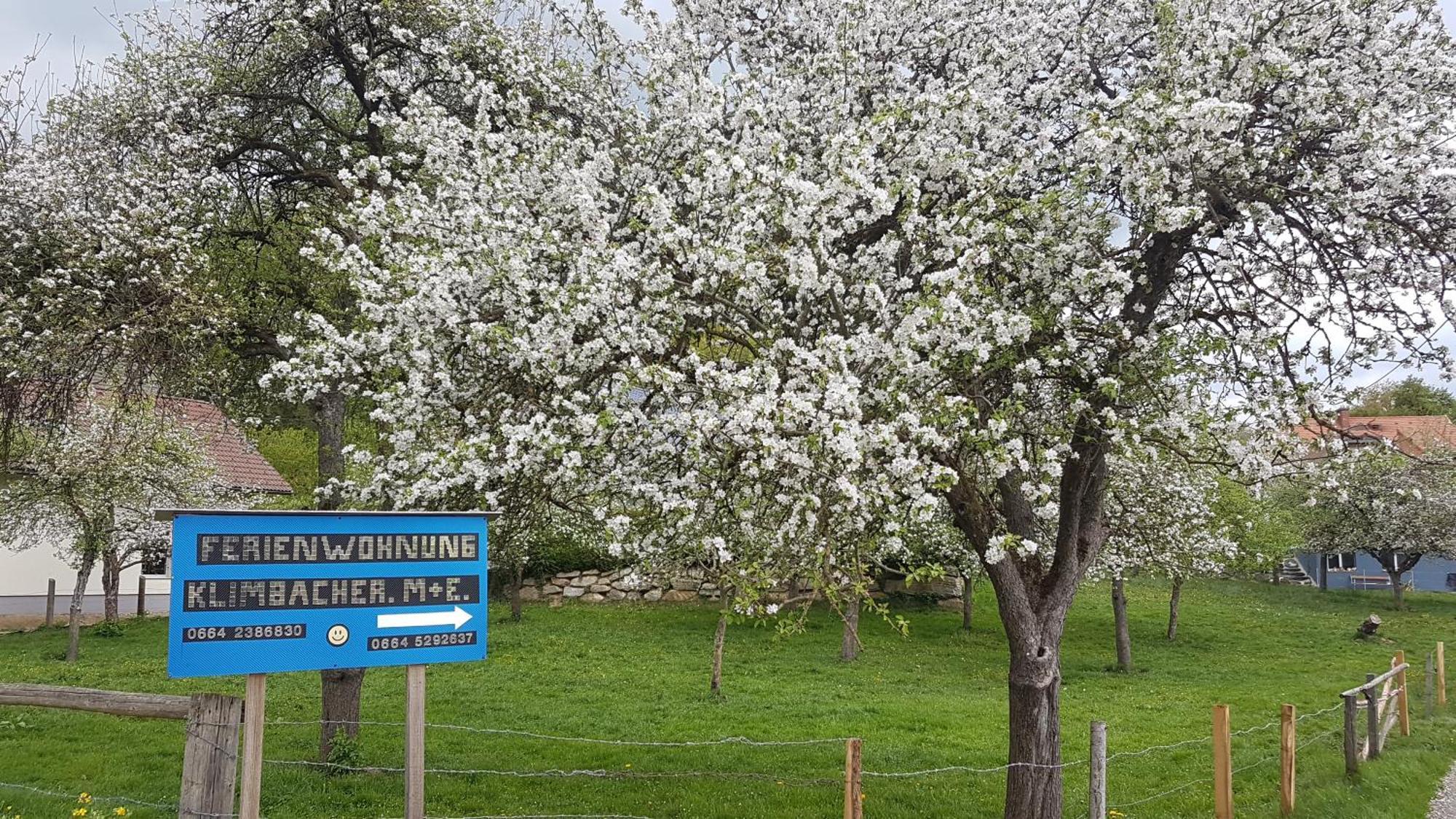 Appartement Klimbacher Wolfsberg